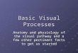 Basic Visual Processes