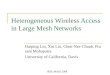 Heterogeneous Wireless Access in Large Mesh Networks