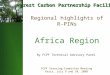 Regional highlights of R-PINs Africa Region