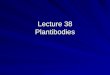 Lecture 38 Plantibodies