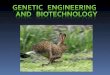 Genetic   Engineering and   Biotechnology