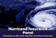 Hurricane Insurance Panel