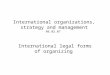 International organizations, strategy and management 06.02.07
