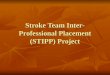 Stroke Team Inter-Professional Placement (STIPP) Project