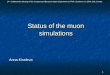 Status of the muon simulations