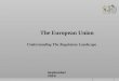 The European Union                           Understanding The Regulatory Landscape