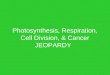 Photosynthesis, Respiration, Cell Division, & Cancer JEOPARDY