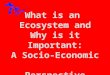 What is an  Ecosystem and Why is it Important: A Socio-Economic  Perspective
