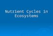 Nutrient Cycles in Ecosystems