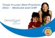 Texas  Provider  Best Practices 2013 –  Medicaid and CHIP