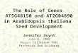 The Role of Genes  AT5G48150 and AT2G04890 in Arabidopsis thaliana  Seed Development