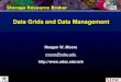Data Grids and Data Management