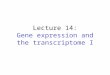 Lecture 14: Gene expression and the transcriptome I