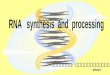 RNA   synthesis  and  processing