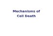 Mechanisms of Cell Death
