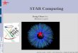 STAR Computing