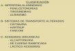 CLASIFICACIÓN A- HIPERFENILALANINEMIAS - FENILCETONURIAS - TIROSINEMIAS - ALBINISMO