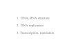 1.  DNA, RNA structure 2.  DNA replication 3. Transcription, translation