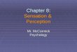 Chapter 8: Sensation &  Perception