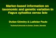 Marker-based information on  taxonomic and genetic variation in Fagus sylvatica sensu lato