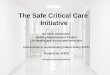 The Safe Critical Care  Initiative
