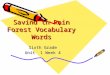 Savind th Rain Forest Vocabulary Words