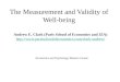 The Measurement and Validity of Well-being