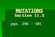 MUTATIONS Section 11.3