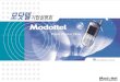 Modottel   Industry Analysis  Core Competencies  Business Plan  Investment Highlights
