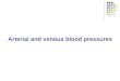 Arterial and venous blood pressures