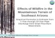 Effects of Wildfire in the Mountainous Terrain of Southeast Arizona