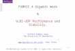 FABRIC 4 Gigabit Work & VLBI-UDP Performance and Stability
