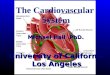 The Cardiovascular  System