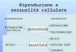 Riproduzione e sessualità cellulare