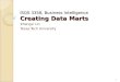 ISQS 3358, Business Intelligence Creating Data Marts