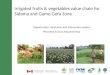 Irrigated fruits & vegetables value chain for  Sidama  and  Gamo Gofa  Zone
