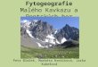 Fytogeografie Malého Kavkazu a Pontských hor