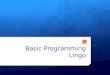 Basic Programming Lingo
