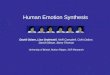 Human Emotion Synthesis