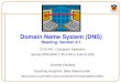 Domain Name System (DNS) Reading: Section 9.1