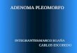 ADENOMA PLEOMORFO