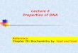 Lecture 2  Properties of DNA