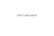 Soil Cultivation