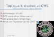 Top quark studies at CMS