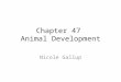 Chapter 47  Animal Development