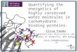 Quantifying the energetics of highly conserved water molecules in carbohydrate-binding proteins