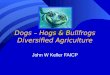Dogs – Hogs & Bullfrogs Diversified Agriculture