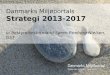 Danmarks Miljøportals  Strategi 2013-2017 v/ bestyrelsesformand Søren Reeberg Nielsen, GST