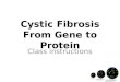 Cystic Fibrosis From Gene to Protein
