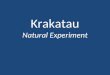 Krakatau Natural Experiment